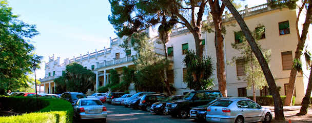 Albany School of English Calasancio