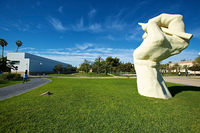 Centro Superior de Idiomas de la Universidad de Alicante