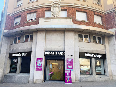 What's Up! | Academia de inglés Barcelona